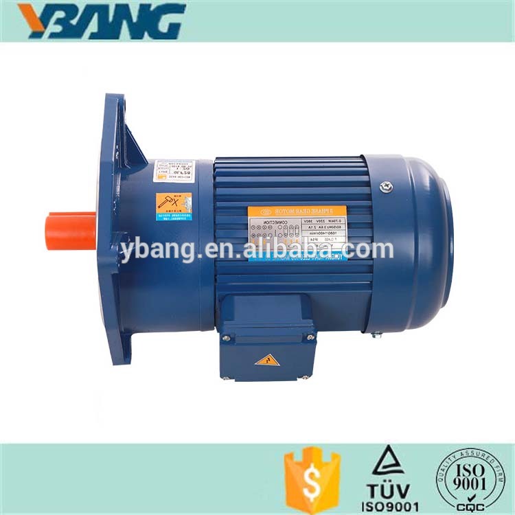 Induction AC Gear Motor with Gear Reducer